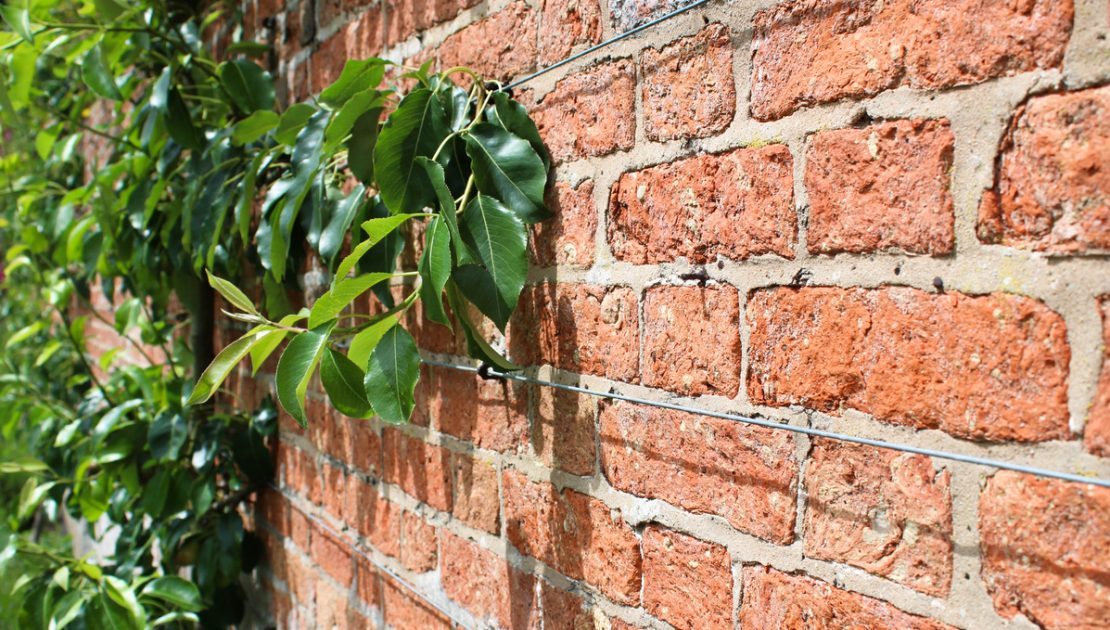 managing party wall agreements