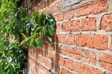 managing party wall agreements
